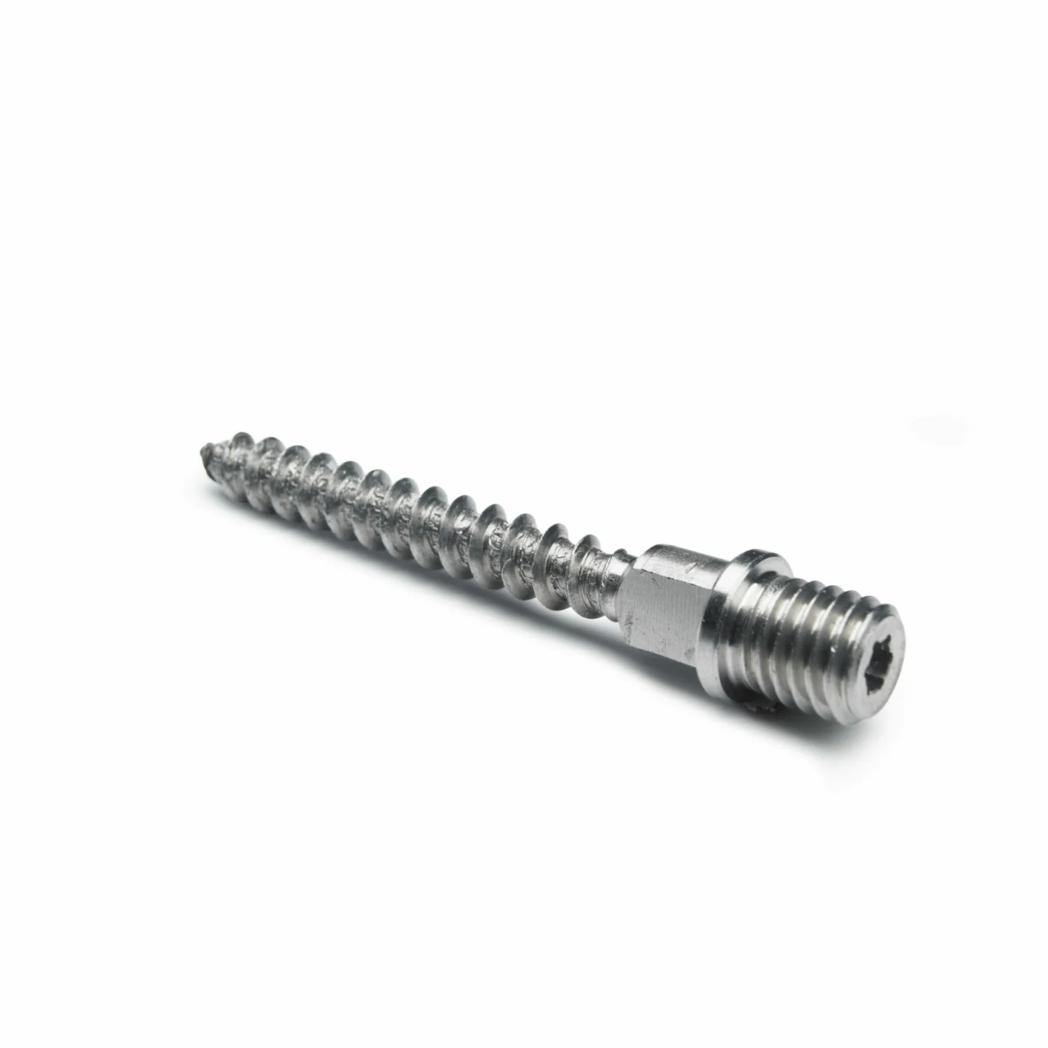 Schroefstift RVS M10x70 mm