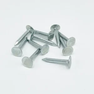 Asfaltnagel gegalv. 3x25mm (per 10 st)